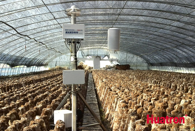 ��������c���L�O�y��Ģ��������