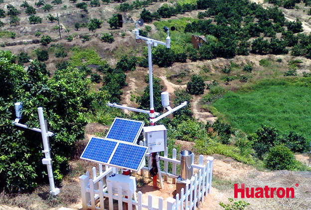 ֲ�ﲡ�x���c�L�U˪������13Ҫ�أ�